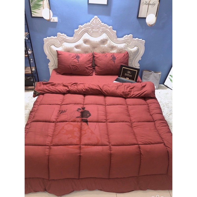 Trọn bộ chăn ga gối đũi trần phao siêu to được chọn màu