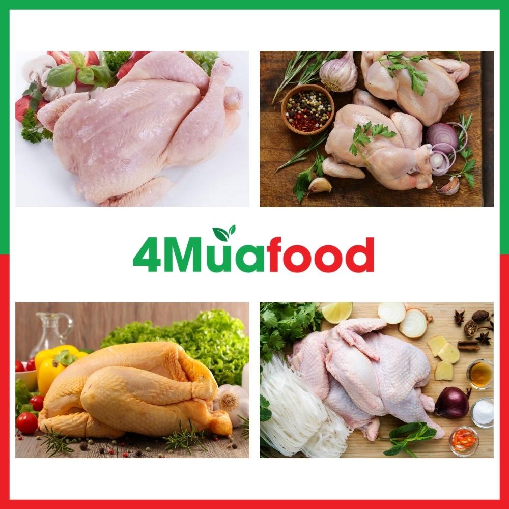 1 con Gà Nguyên Con ko đầu ko chân đóng túi hút chân không - Thực Phẩm 4 Mùa - 4Muafood