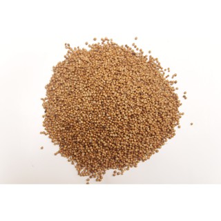 HẠT MÙI (HẠT NGÒ) KHÔ 100GR