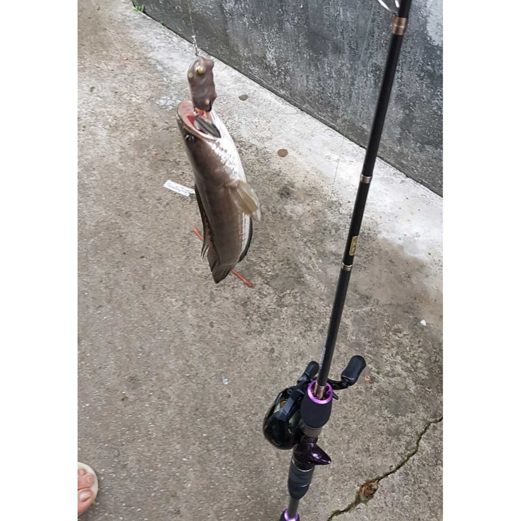 Mồi giả nhái hơi Frog Toon V1 V2 V3 V4 Thái Lan - Chuyên câu Lure siêu nhậy hàng hót 22