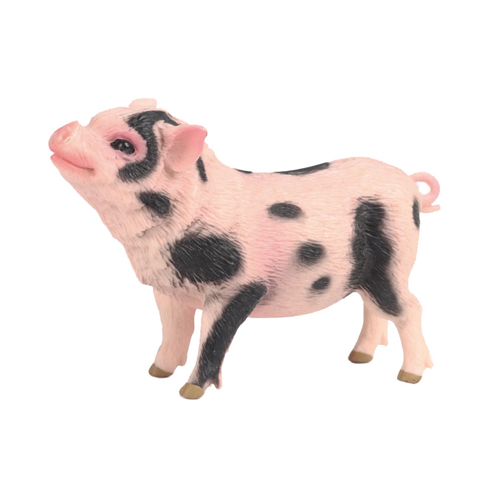 JOKFEICE Hình động vật thực tế Bức tượng hình con heo Piebald, Dự án Khoa học, Mặt trên bánh, Đồ chơi giáo dục sớm Quà tặng sinh nhật cho trẻ mới biết đi Trẻ em 3 4 5 tuổi