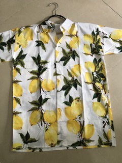 Ao sơ mi hoa quả