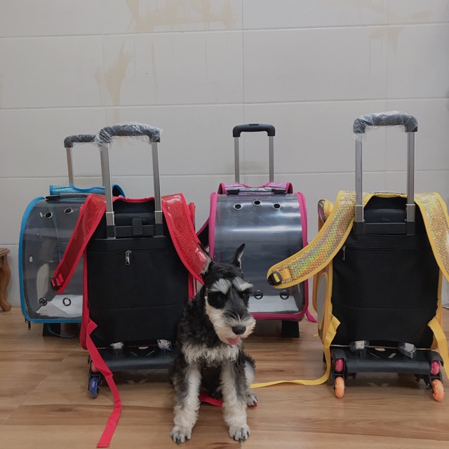 Balo Phi hÀnh Gia trong Suốt 2IN1 Có Xe Kéo  7kg vừa