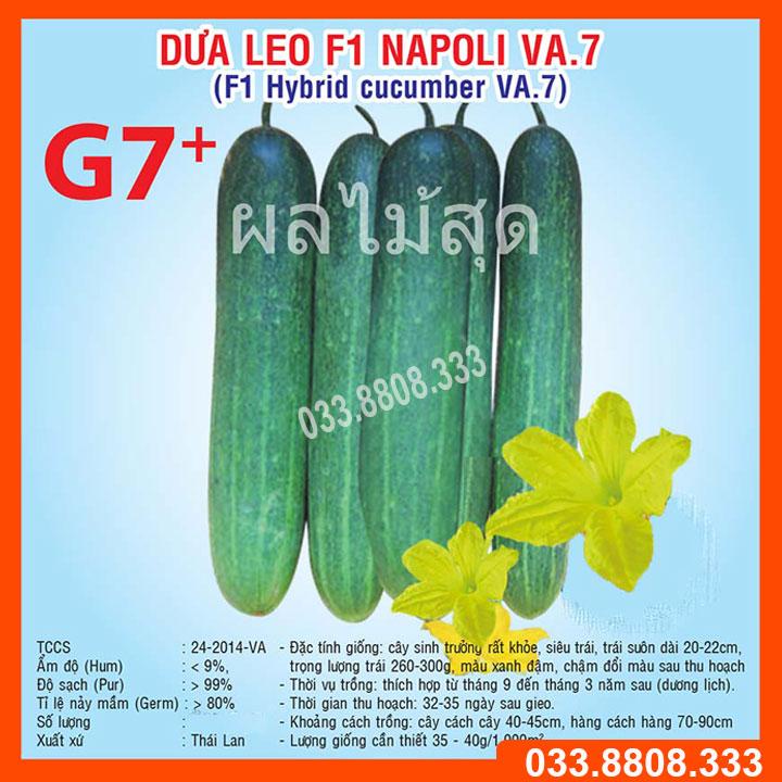 HẠT GIỐNG DƯA LEO NAPOLI G7 -  GIỐNG CHUẨN, CHẤT LƯỢNG CAO - GÓI 1G
