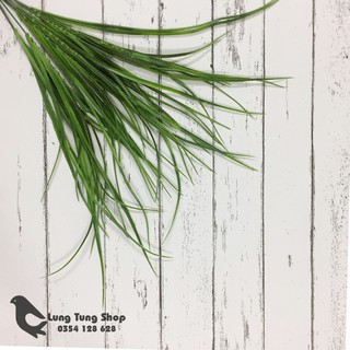 Phụ kiện chụp hình sản phẩm - cỏ dài