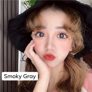 Smoky Gray Lens