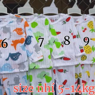 Bộ cotton giấy size đại 6-26kg