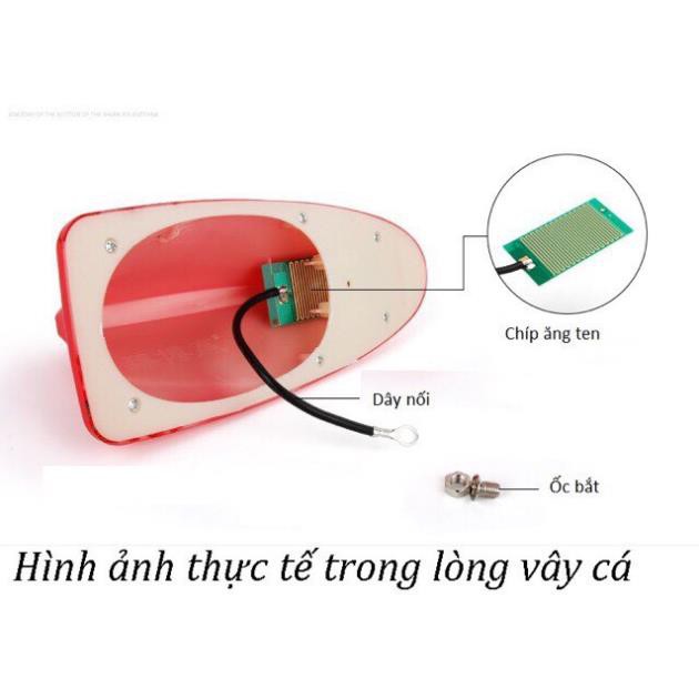 [Rẻ nhất] Vây cá mập có anten chụp vừa các dòng xe