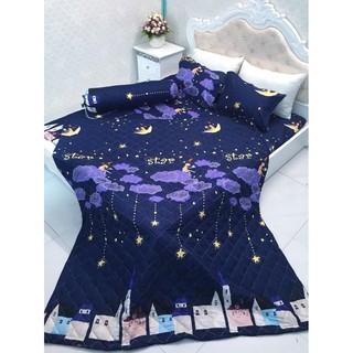 Sét Chăn ga gối hè  cotton poly