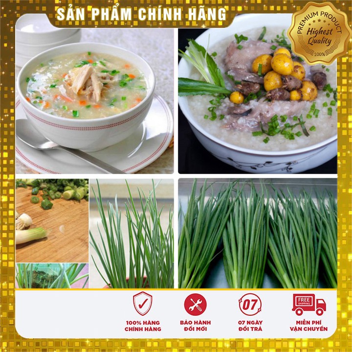 COMBO 02 gói hạt giống hành hoa xanh gia vị thơm ngon