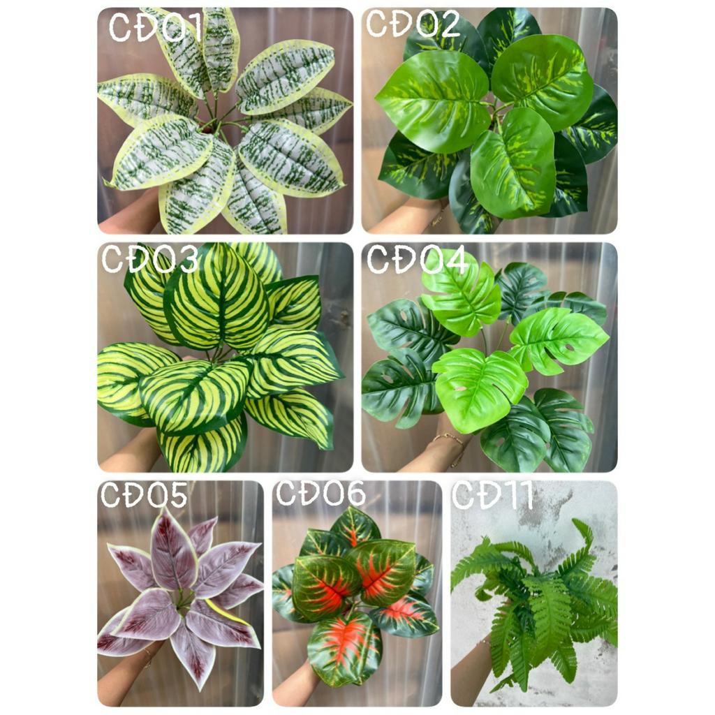 Cụm Điểm Trang Trí Tường Cỏ Nhân Tạo, Bể Cá Cảnh