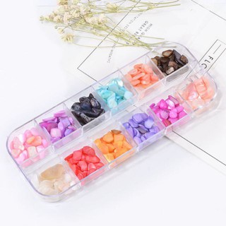 Khay Đá vỏ sò 12 Màu Trang Trí Resin