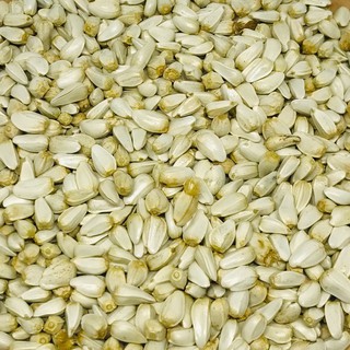 HẠT KHAM - GÓI 1KG