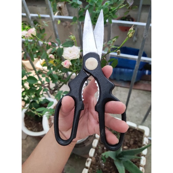 kéo cắt bãi nội địa nhật