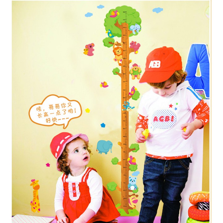 Decal thước đo cây xanh và thú