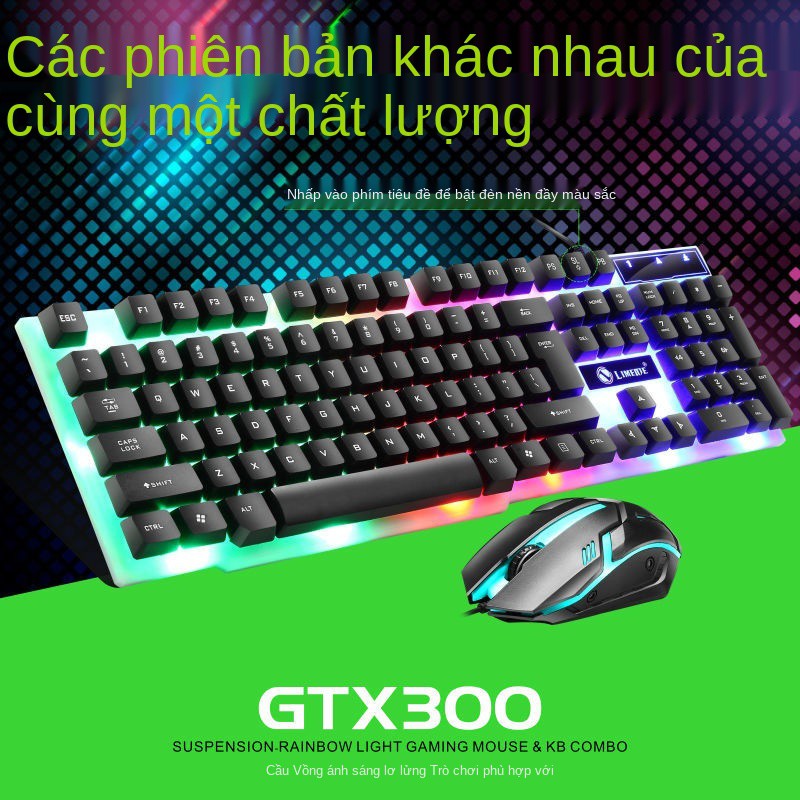 Limei Bộ bàn phím và chuột dạ quang thao tác Cảm nhận văn phòng Ăn gà trò chơi máy tính xách tay | BigBuy360 - bigbuy360.vn