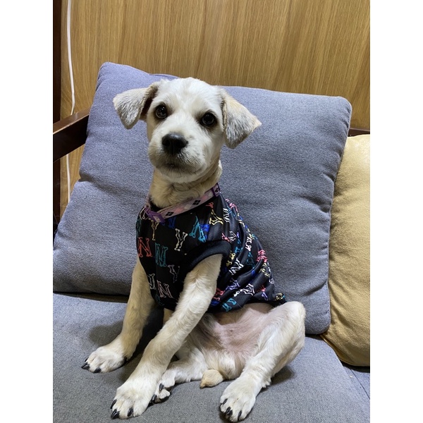 Áo ba lổ NY cho chó mèo