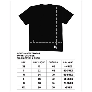 Áo thun unisex Hide & Seek chất cotton 4 chiều oversized.