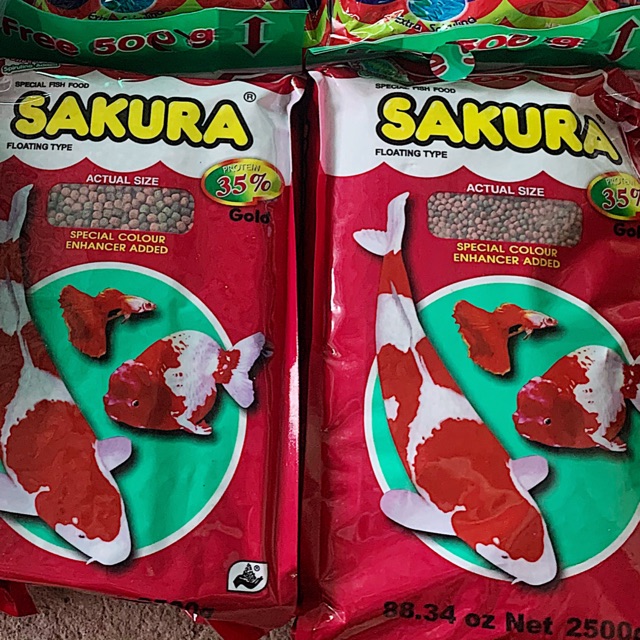 Thức ăn SAKURA size to túi 2,5kg cho cá ranchu, La hán, Koi...