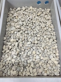 1kg Đá bọt biển trồng Lan