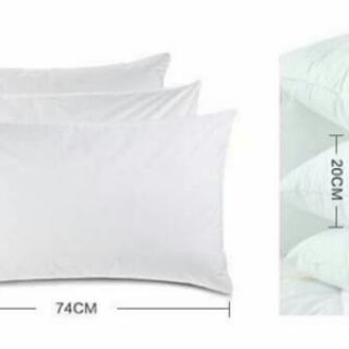 Ruột gối HILTON( loại 1)