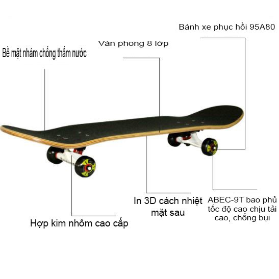 VÁN TRƯỢT THỂ THAO MẶT NHÁM CAO CẤP - VÁN SKATEBOARD GỖ PHONG 7 LỚP SIÊU HẠNG