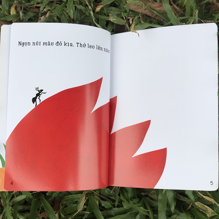 Sách - Ehon Accototo (0-6 tuổi) - Bộ 4 quyển