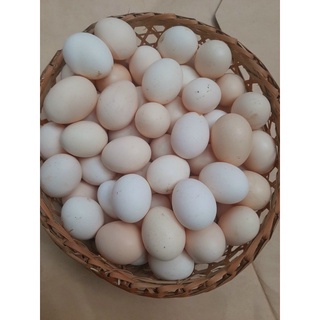 Trứng gà ta thơm ngon, bổ dưỡng- nowship trong quận Gò Vấp (10 quả)