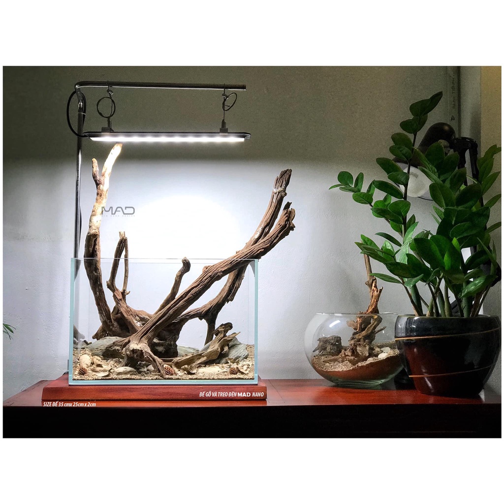 Combo đế gỗ & treo đèn MAD hồ shallow nano