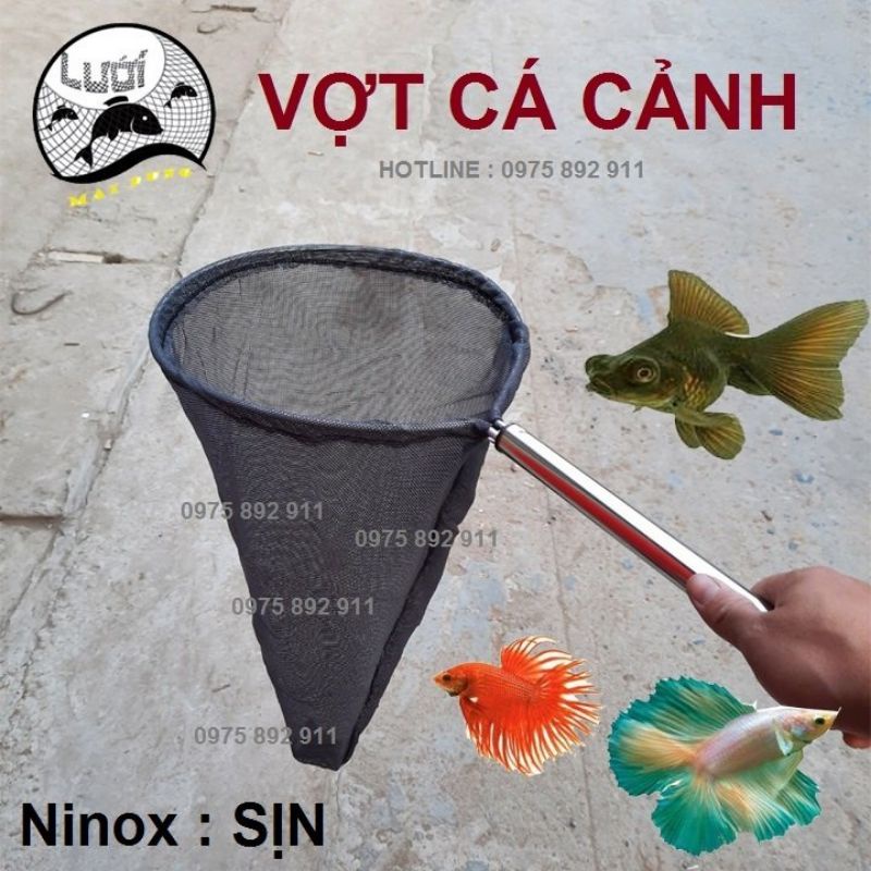 Vợt cá cảnh - loại ninox sịn