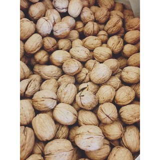 Hạt Óc Chó còn vỏ - gói 500gr