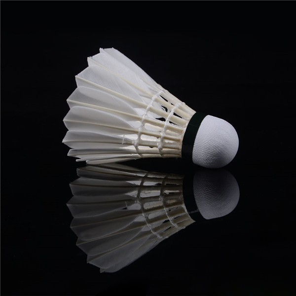 Ống cầu lông Hải Yến 12 quả (xanh lá - đỏ) cầu lông sử dụng thi đấu hàng Việt Nam chất lượng cao - LICLAC