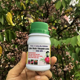 Phân bón vi lượng - Lớn trái thanh long (có bổ sung rong biển)