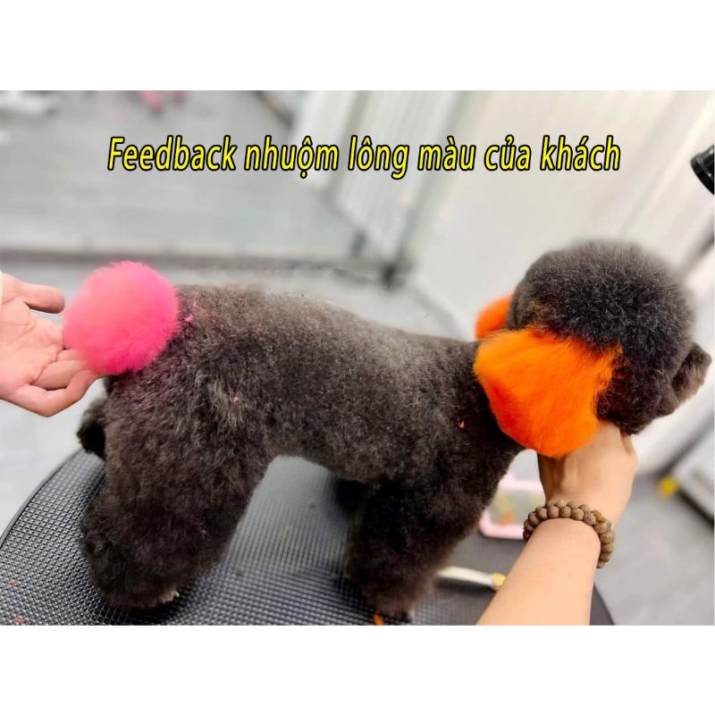 Bộ tẩy nhuộm lông màu giúp màu lên đều và tươi hơn cho thú cưng lông đen xám nâu - OmonPet