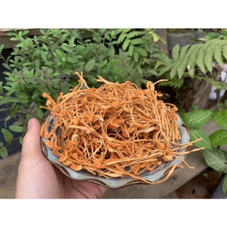 Nấm trùng thảo 100g