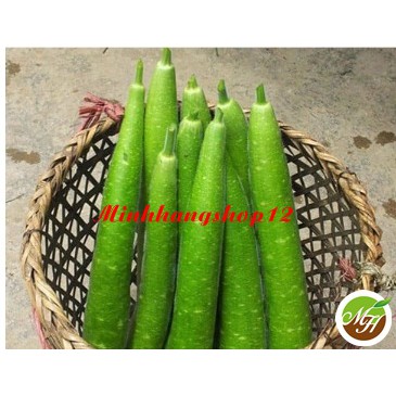 20 Hạt Giống Bầu Sao Qủa Dài Tặng Kèm Kích Mầm Và Hướng Dẫn Ươm Trồng