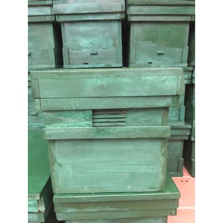 Thùng Nuôi Ong Mật Nội Đã Sơn
