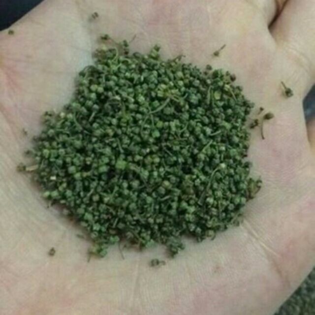 1kg nụ non bao tử tam thất