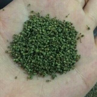 1kg nụ non bao tử tam thất