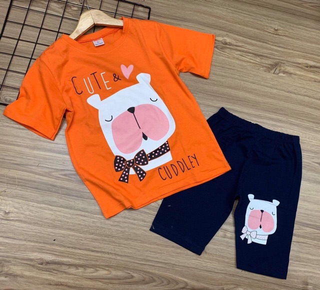 Bộ đại bé gái cotton 4c sài gòn 20-40 kg