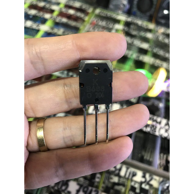 HOT-5 con Sò D718 và B688 loại 1