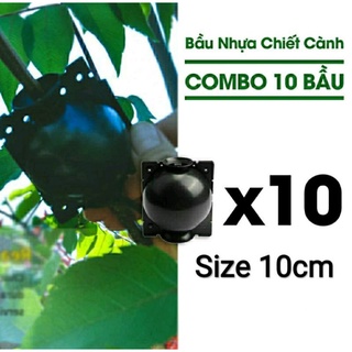 Set 10c Bầu Nhựa Chiết Cành Size 10cm