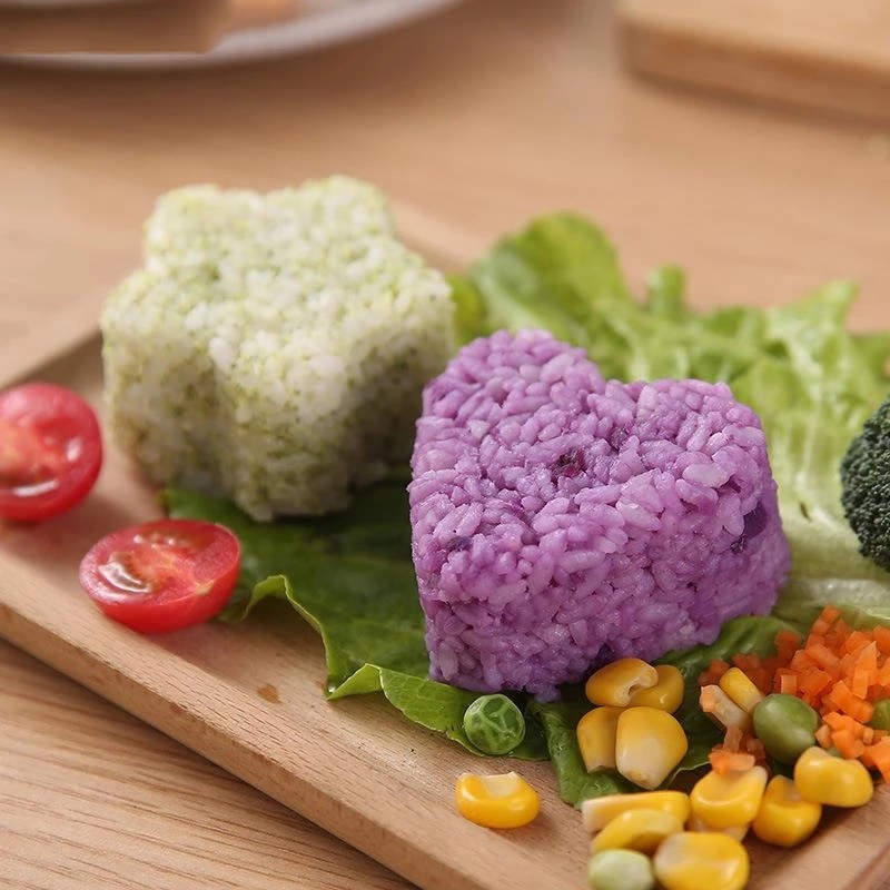 Khuôn Nhựa Làm Sushi DIY 4 Kiểu Dáng Đa Dạng