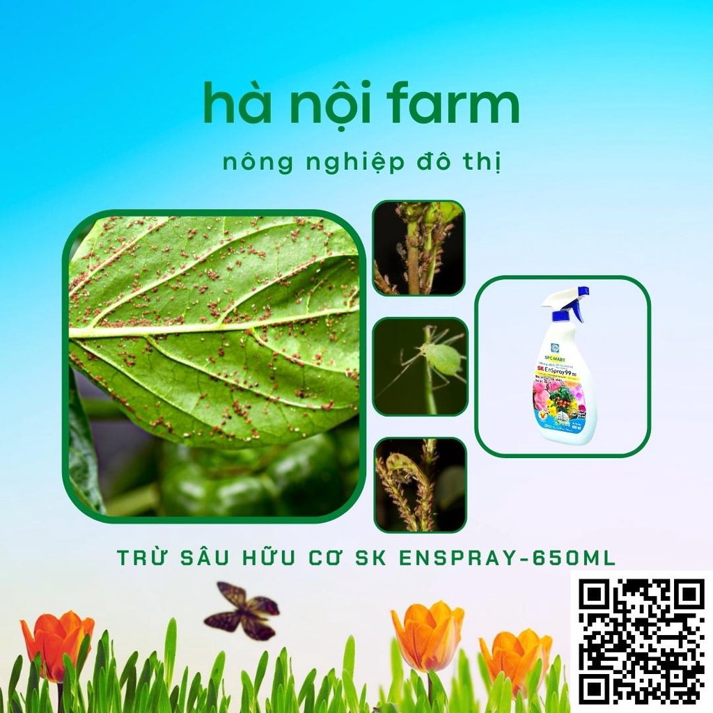 KHÔNG MÙI - Chai xịt trị rầy rệp, nhện, bọ trĩ, bọ xít trên hoa hồng,cây cảnh_Dung dịch hữu cơ dầu khoáng SK ENSPRAY99EC
