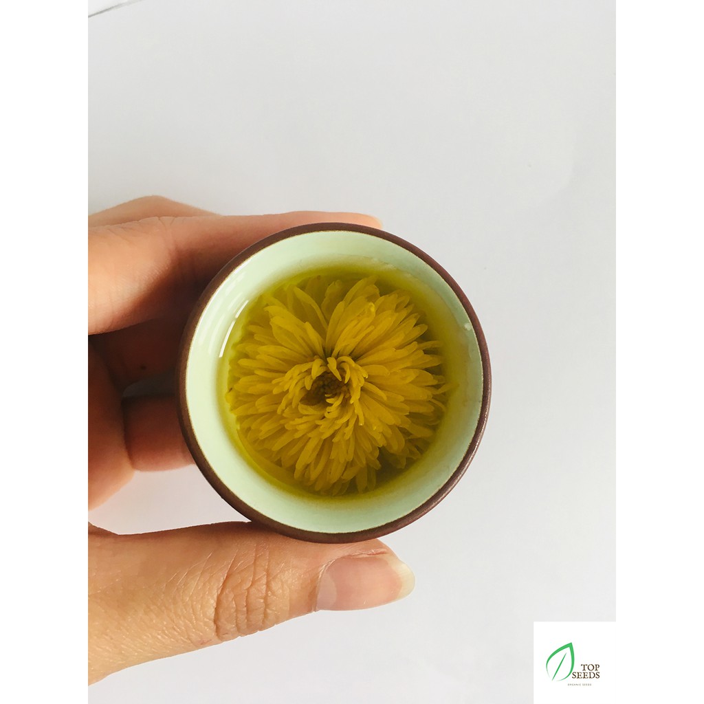 Trà Hoa Cúc Đường Phèn Mật Ong 1 viên | BigBuy360 - bigbuy360.vn