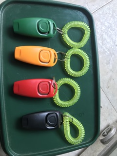 Clicker còi huấn luyện