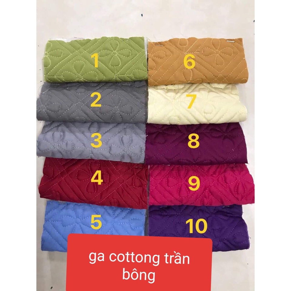 Ga spa trần bông cotton MAY 1 NGÀY LÀ CÓ | BigBuy360 - bigbuy360.vn
