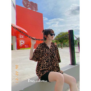 Set sơ mi beo + quần legging [có sẵn]