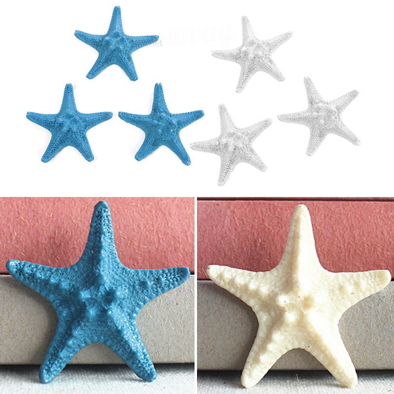 Bộ 3 Ngoi Sao Biển Trang Tri Ban đam Cưới Shopee Việt Nam