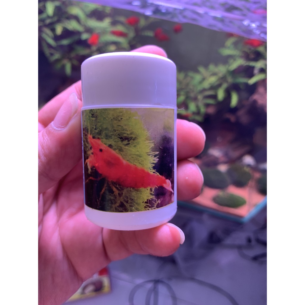 KHOÁNG TÉP THỦY SINH